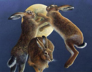 The Wild Hares. Collective of id-driven hares. Feral